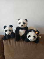 Panda Pandabären Kuscheltiere - (Steiff, WWF, Wild Republic) Sachsen - Plauen Vorschau