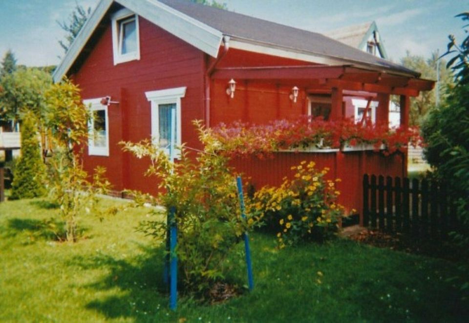 Ferienhaus • max. 7 Personen • Spielplatz im Garten • Zinnowitz in Zinnowitz