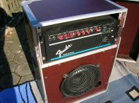 Fender Amp super Rack 50 Watt Nordrhein-Westfalen - Everswinkel Vorschau