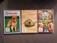 3x Hunde DVDs Niedersachsen - Sarstedt Vorschau