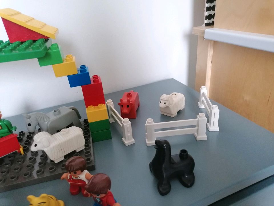 Lego Duplo Set Zoo Tiere Figuren Zäune Tierarzt XL Paket Konvolut in Dresden