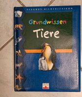 Buch Grundwissen Tiere DIN A4 neuwertig Niedersachsen - Seesen Vorschau