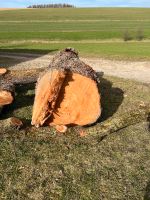 Lindenbaum/ Holz Bayern - Steinkirchen Vorschau