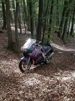 BMW K1200 RS Nordrhein-Westfalen - Kreuztal Vorschau