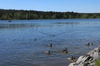 Sommerurlaub am Greifenbachstauweiher/Erzgebirge Leipzig - Leipzig, Zentrum Vorschau