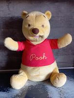 Winnie Pooh 44cm groß Ludwigslust - Landkreis - Zarrentin Vorschau