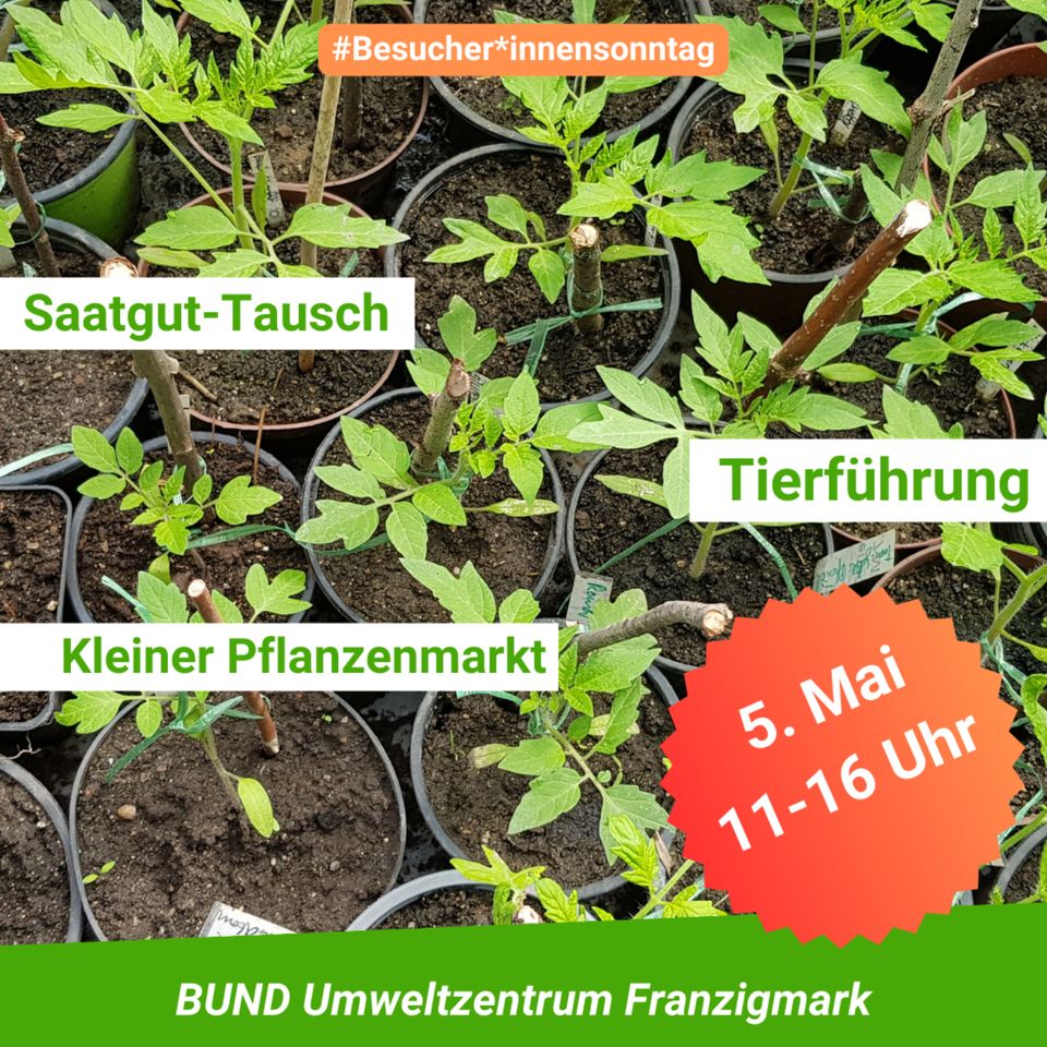 5.Mai: Besucher*innensonntag "Pflanzenmarkt & Saatgut-Tausch" in Petersberg (Saalekreis)