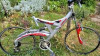 MTB Micmo Enduro 1.5 26 Zoll Thüringen - Greiz Vorschau