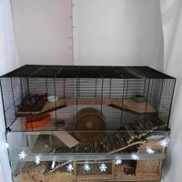 Nagetarium  2 Etagen  Hamster / Mäuse inkl. Zubehör Nordrhein-Westfalen - Mülheim (Ruhr) Vorschau