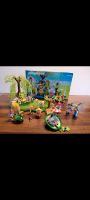 Playmobil Feenwelt, fantasy Sammlung Niedersachsen - Brackel Vorschau