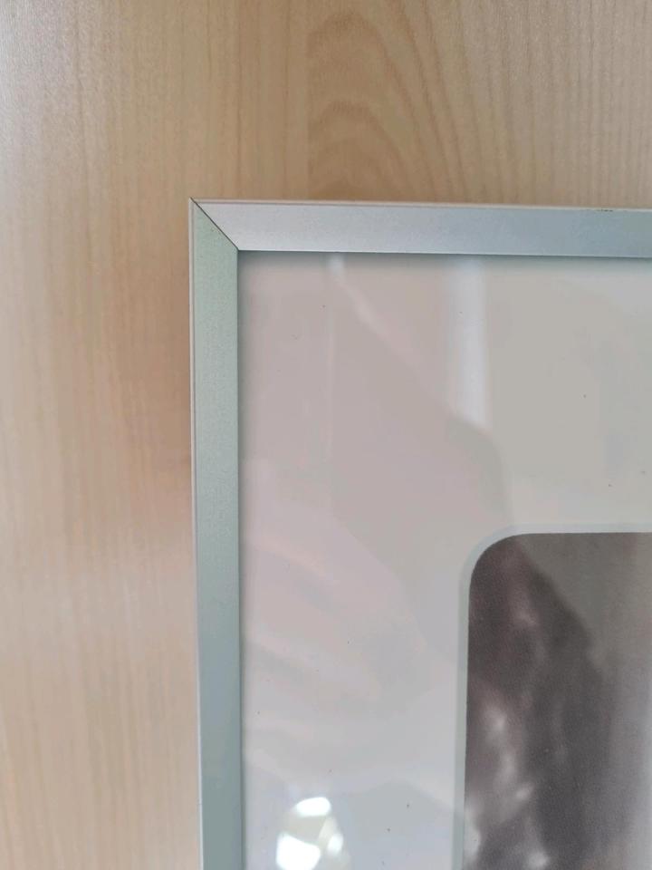 Nielsen Bilderrahmen mit Alurahmen 49,5 x 109,2 cm in Eltmann