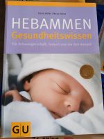 Buch Schwangerschaft Hebammen Gesundheitswissen Höfer Baden-Württemberg - Neckarsulm Vorschau