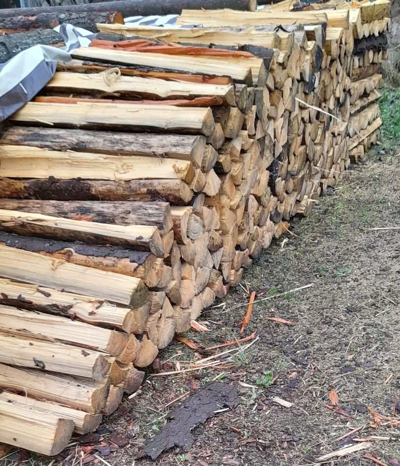 Brennholz Fichte 1m gespalten (trocken) in Kulmain
