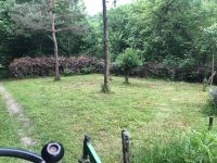 Günstig Wiese Rasen mähen mulchen lassen auf Minijobbasis Rheinland-Pfalz - Annweiler am Trifels Vorschau