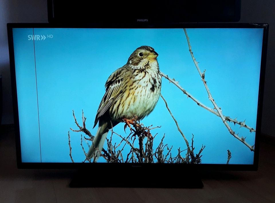 TV Panasonic TX-39DW334 in Brauneberg