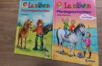 Zwei Lesebücher ab 7/8 Jahre bzw. 2/3 Klasse Baden-Württemberg - Bühl Vorschau