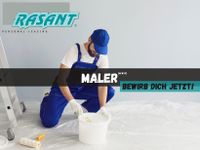 *NMS* Malergeselle (m/w/d) gesucht Schleswig-Holstein - Bordesholm Vorschau