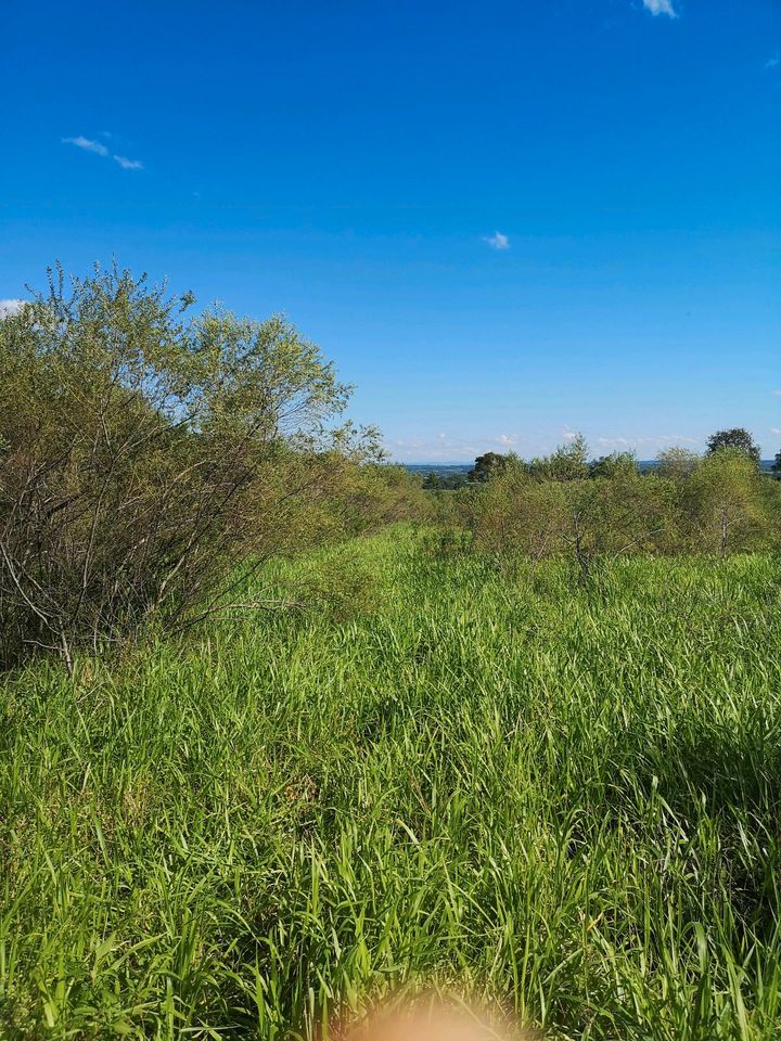 Grundstück Paraguay 6 Hektar in Markdorf