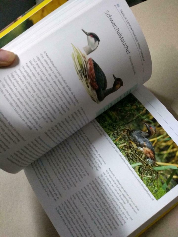 Das blv Handbuch Vögel, Brutvögel Mitteleuropas in Weißenburg in Bayern