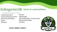 Gärtner Garten Gartenpflege Gartenarbeit  Rasen Hecke Baum Rücks Niedersachsen - Wolfsburg Vorschau