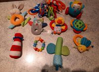 Babyspielzeug je 1 Euro Schleswig-Holstein - Norderstedt Vorschau