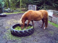 Heuraufe für Ponys, Pferde, Schafe Niedersachsen - Lindern (Oldenburg) Vorschau