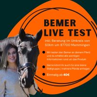 BEMER Mieten | Testen | Horse Set | Therapie | Einmalig Bayern - Memmingen Vorschau