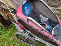 Thule Fahrrad Anhänger für zwei Kinder gebraucht Selbstabholung Bayern - Prutting Vorschau