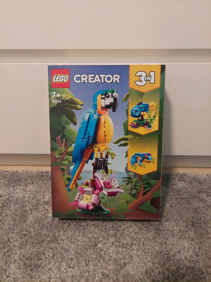 LEGO Creator - Exotischer Papagai 3 in 1 (31136) in Mettingen
