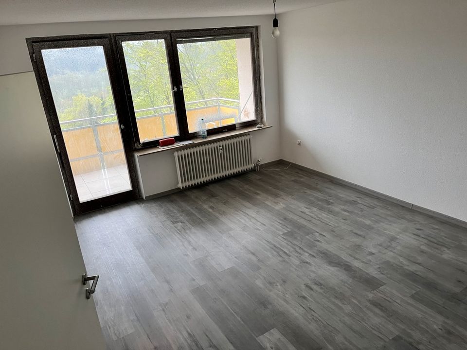 Schöne helle/sanierte 2 Zimmer Wohnung in Leinzell in Welzheim