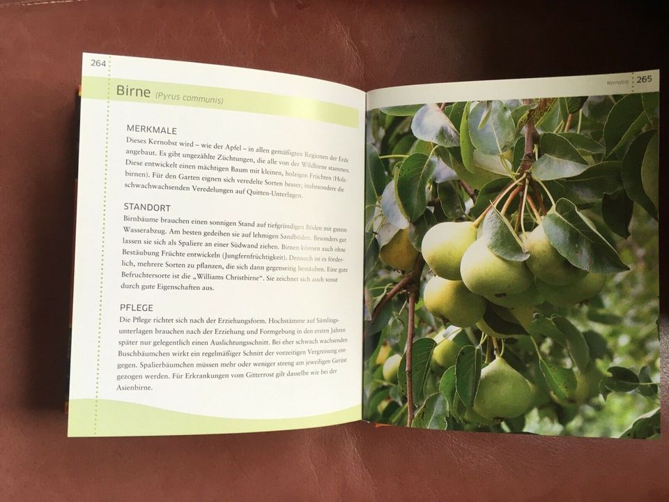 Buch Küchengarten köstlich & gesund Gemüse Kräuter Obst Salat in Hille