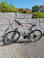 Mountainbike,  guter Zustand 100.- Euro Bayern - Haßfurt Vorschau