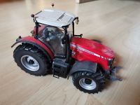 Universal Hobbies Ferguson 8690 Vitrinenmodel Hessen - Wolfhagen  Vorschau