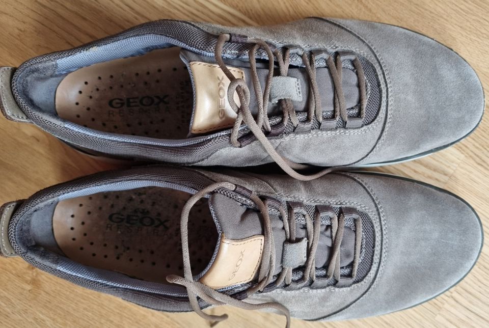 5 Paar Schuhe: 4x Geox + 1x Adidas in Moosburg a.d. Isar