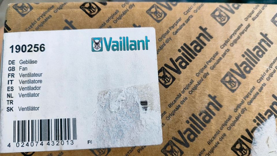 VAILLANT Gebläse in Solingen