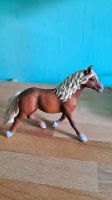 Schleich Haflinger Hengst Nürnberg (Mittelfr) - Aussenstadt-Sued Vorschau