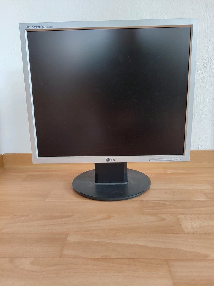 Bildschirm Monitor 19 Zoll LG in Höckendorf