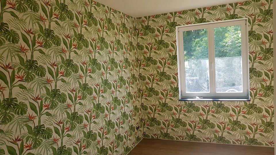 Polnische Maler und Fußbodenleger suchen Arbeit/Malerarbeiten in Kiel
