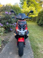 Motorroller  Aprilia SR 50 D- Tech Wandsbek - Hamburg Tonndorf Vorschau