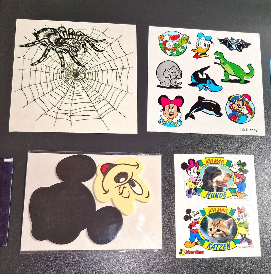 Stickersammlung Stickeralbum Glitzer 90er Panini Spiderman Disney in Rostock
