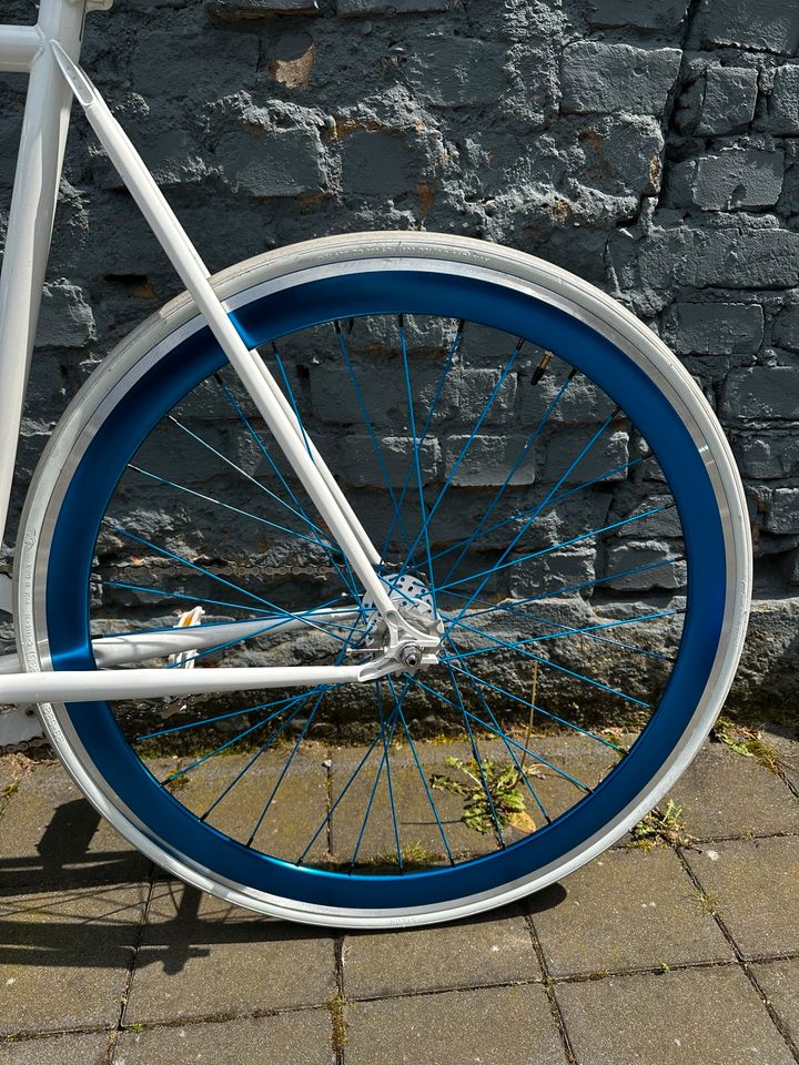 Single Speed Fahrrad in Düsseldorf