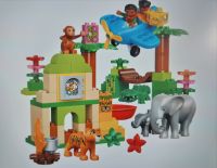 LEGO DUPLO Dschungel (10804) aus 1. Hand Hessen - Kassel Vorschau