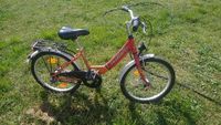 Pegasus 20 Zoll Kinderfahrrad Brandenburg - Schönewalde bei Herzberg, Elster Vorschau