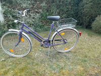 Damenfahrrad 26 Zoll Sachsen-Anhalt - Coswig (Anhalt) Vorschau