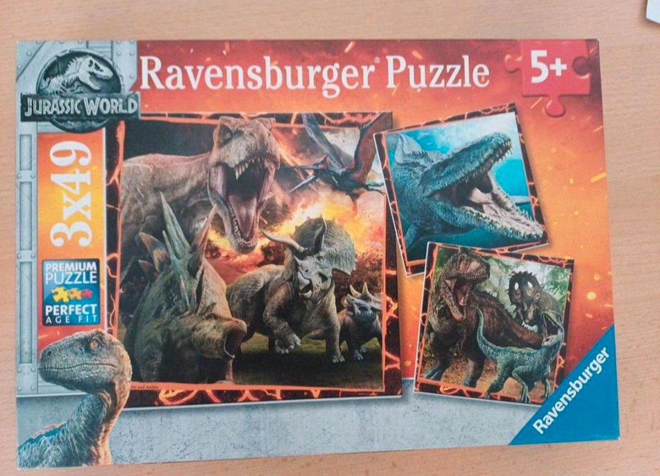 Puzzle Dinosaurier in Telgte