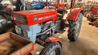 MF 130 Oldtimer Traktor mit Tüv 1967 Rheinland-Pfalz - Gondershausen Vorschau