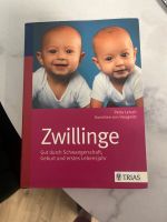 Buch Zwillinge / Schwangerschaft Hamburg - Wandsbek Vorschau