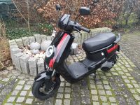 NIU M+ Lite Elekto Roller E-Roller E-Scooter 45 km/h Eimsbüttel - Hamburg Niendorf Vorschau