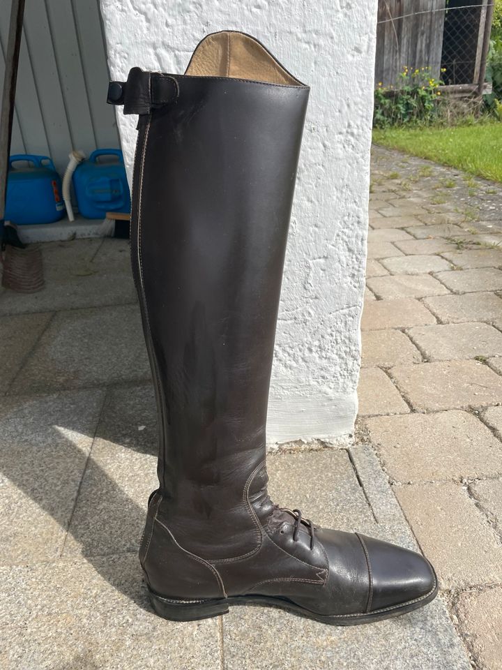 Herren Reitstiefel in Moosburg a.d. Isar