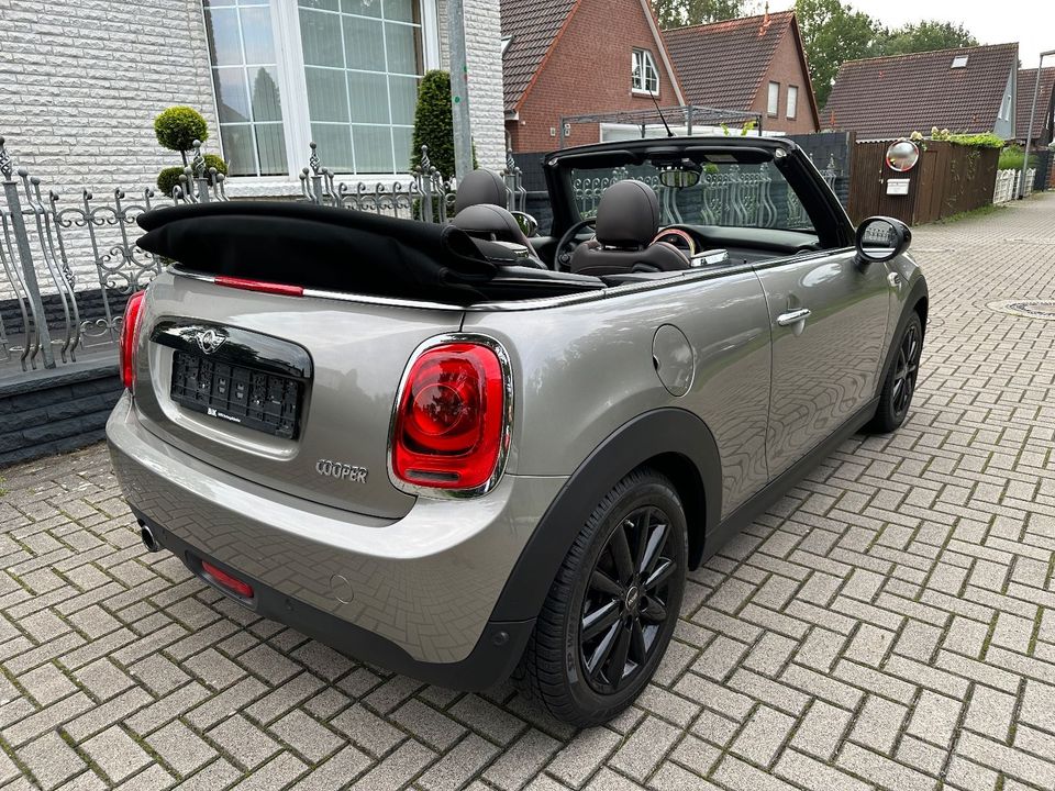 MINI COOPER Cabrio  LEDER LED CHILI Park-Assist NAVI in Hannover